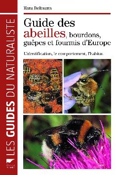 thumbnail - Guide des abeilles, bourdons, guêpes et fourmis d'Europe